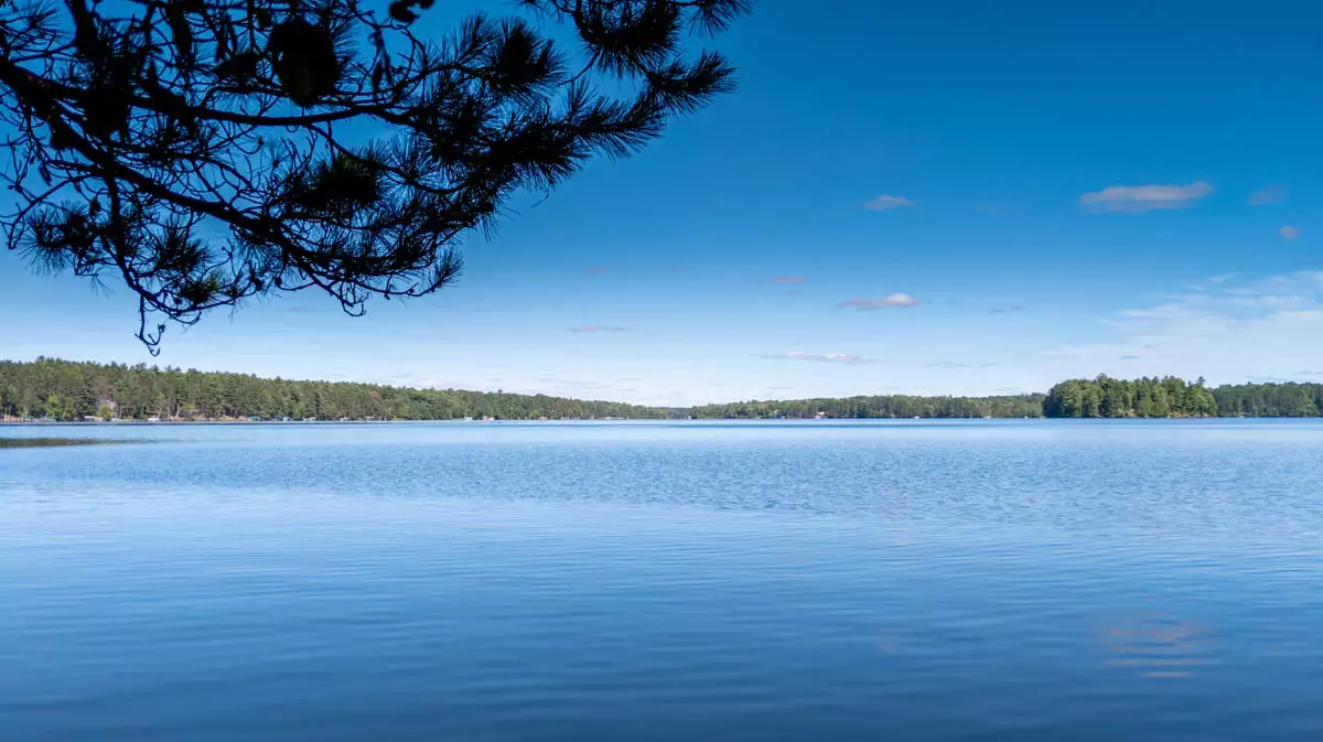 Upper Buckatabon Lake image 4