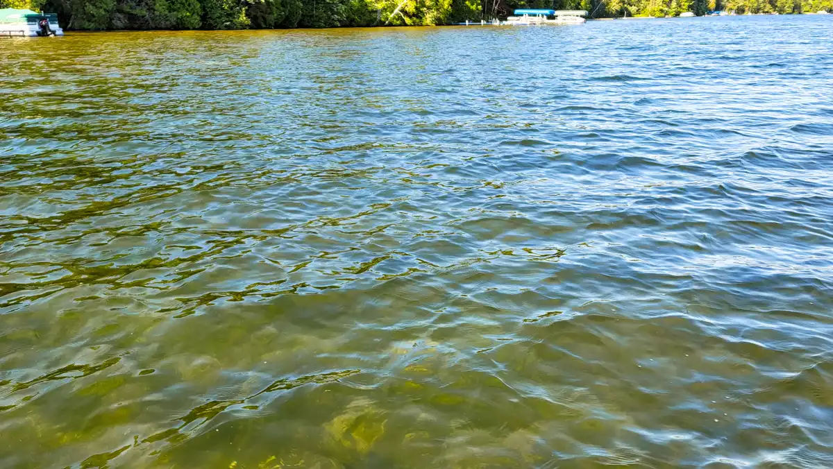 White Sand Lake image 36