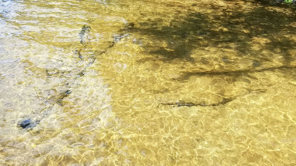 White Sand Lake (BJ) image 4